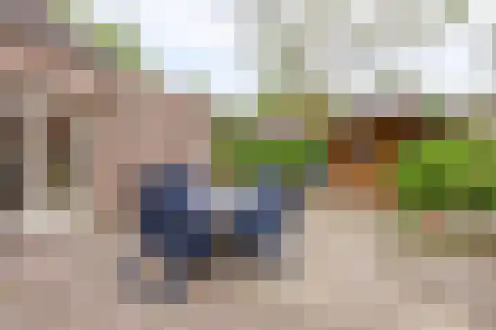 Klaproos 68 Hapert thumbnail 33
