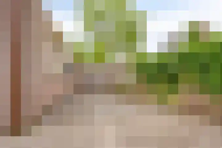 Klaproos 68 Hapert thumbnail 35