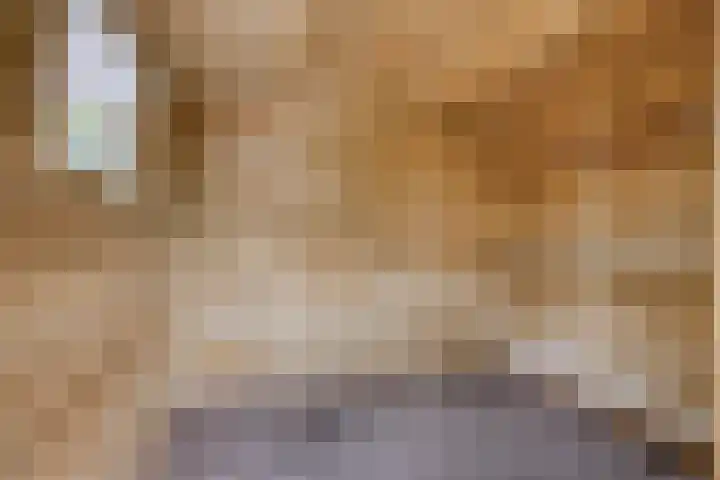 Klaproos 68 Hapert thumbnail 38