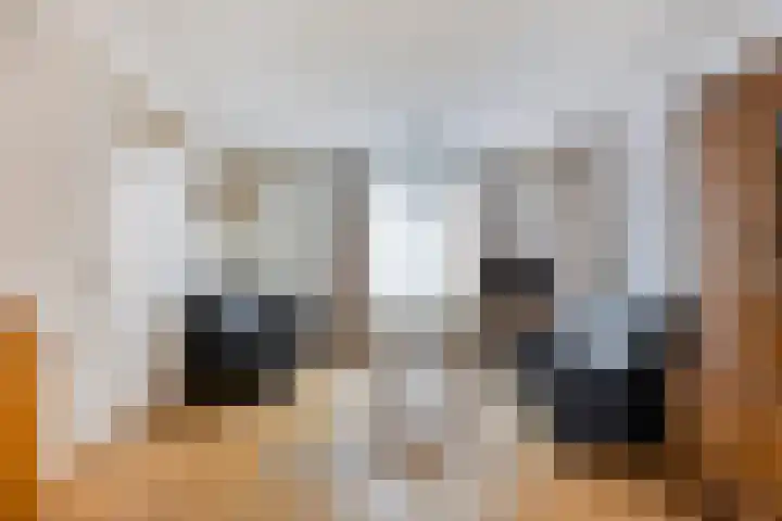 Klaproos 68 Hapert thumbnail 5
