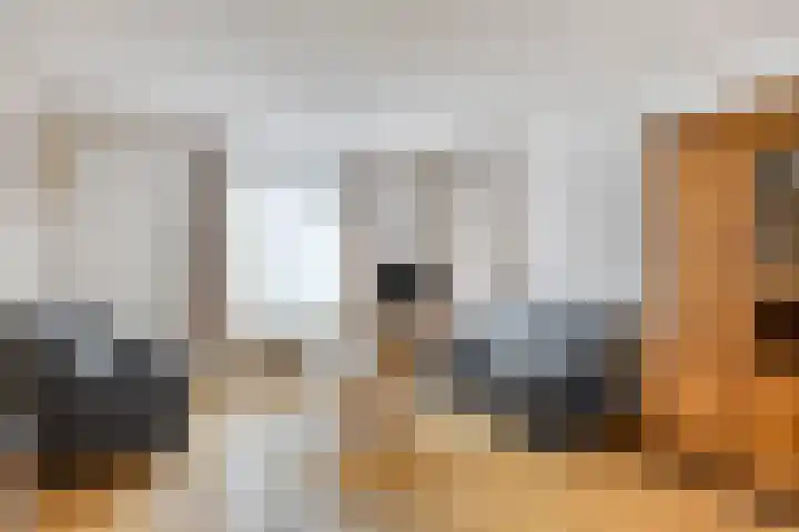 Klaproos 68 Hapert thumbnail 6