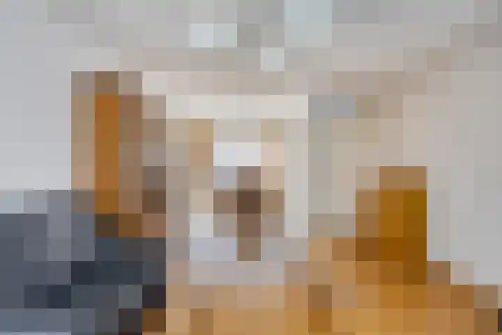 Klaproos 68 Hapert thumbnail 7