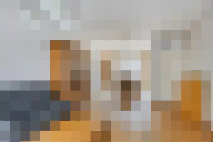 Klaproos 68 Hapert thumbnail 8
