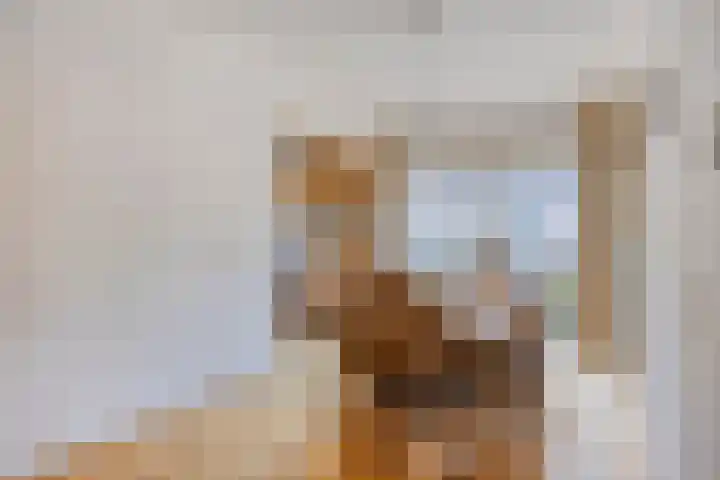 Klaproos 68 Hapert thumbnail 9