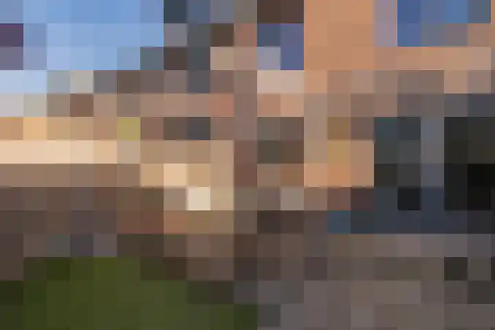 Klaproos 7 Ouderkerk aan de Amstel thumbnail 11