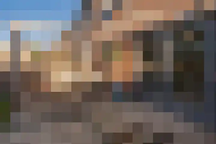 Klaproos 7 Ouderkerk aan de Amstel thumbnail 12