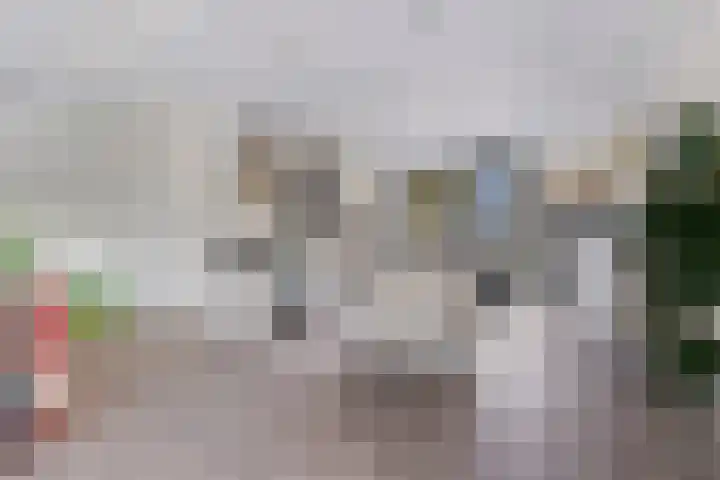 Klaproos 7 Ouderkerk aan de Amstel thumbnail 13
