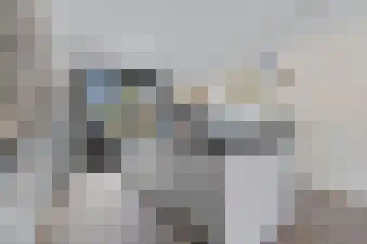 Klaproos 7 Ouderkerk aan de Amstel thumbnail 15
