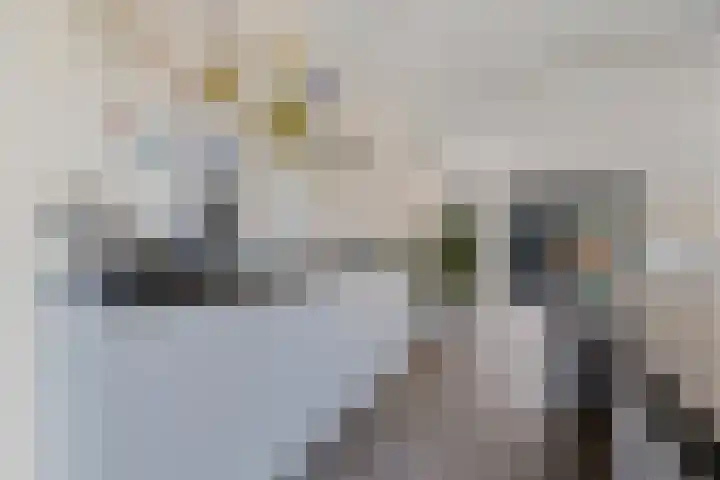 Klaproos 7 Ouderkerk aan de Amstel thumbnail 18