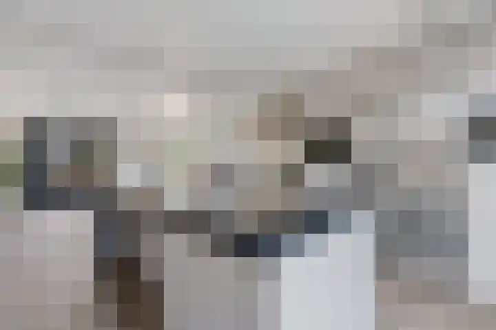Klaproos 7 Ouderkerk aan de Amstel foto 2