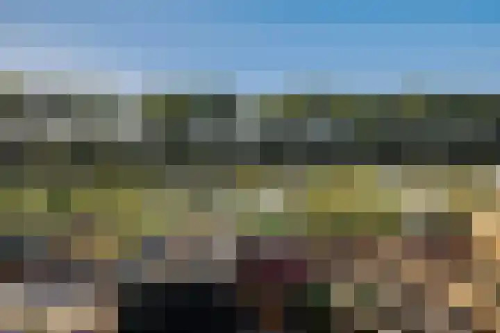 Klaproos 7 Ouderkerk aan de Amstel thumbnail 26