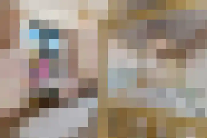 Klaproos 7 Ouderkerk aan de Amstel thumbnail 27