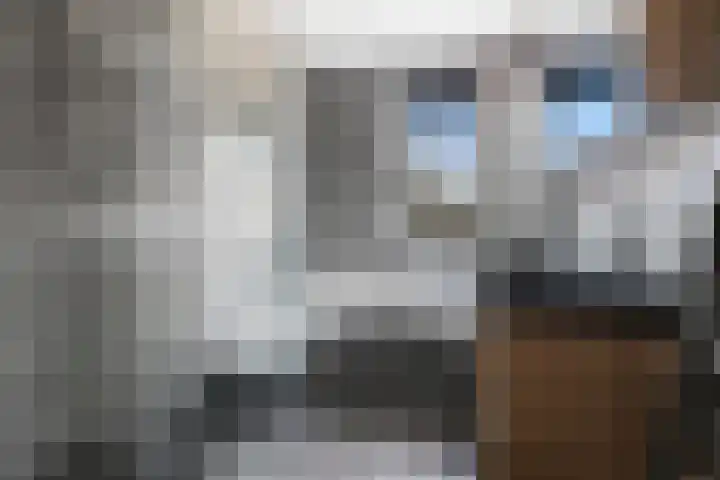 Klaproos 7 Ouderkerk aan de Amstel thumbnail 29