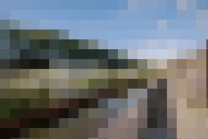 Klaproos 7 Ouderkerk aan de Amstel thumbnail 33