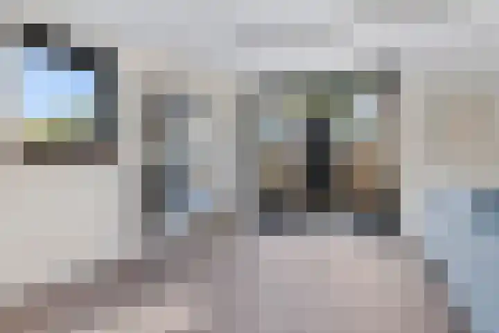 Klaproos 7 Ouderkerk aan de Amstel thumbnail 8
