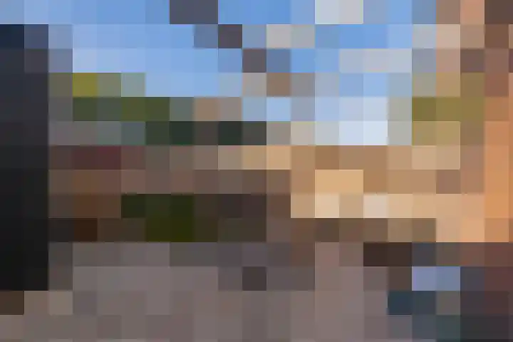 Klaproos 7 Ouderkerk aan de Amstel thumbnail 9