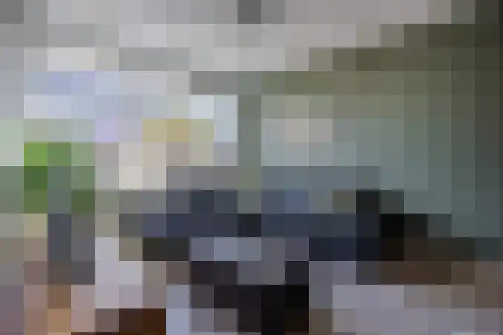 Klaproos 72 Bodegraven thumbnail 12