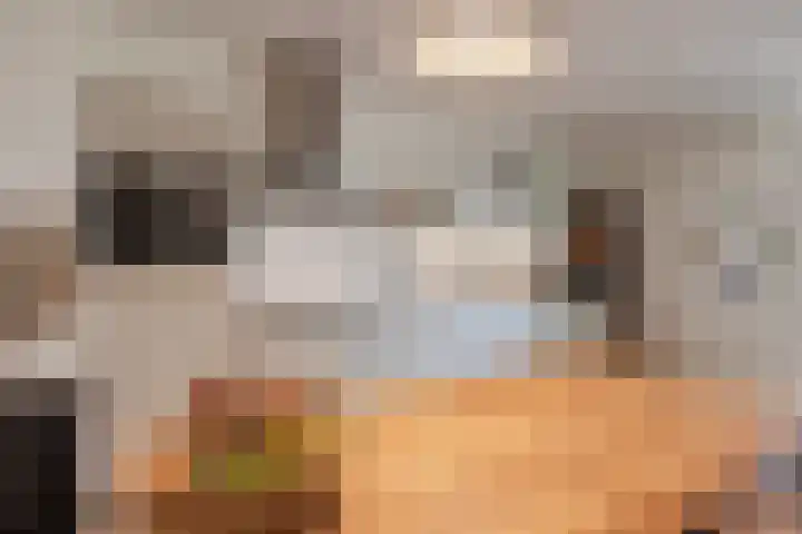 Klaproos 72 Bodegraven thumbnail 16