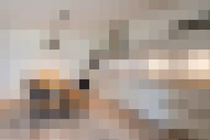 Klaproos 72 Bodegraven thumbnail 18