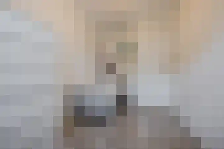 Klaproos 72 Bodegraven thumbnail 20