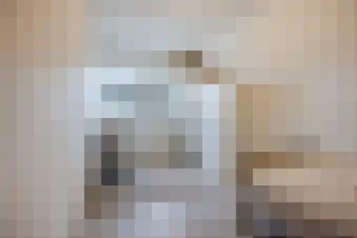 Klaproos 72 Bodegraven thumbnail 21