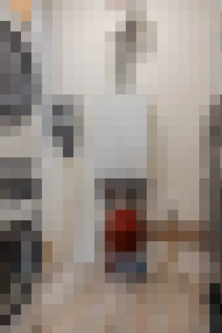 Klaproos 72 Bodegraven thumbnail 30