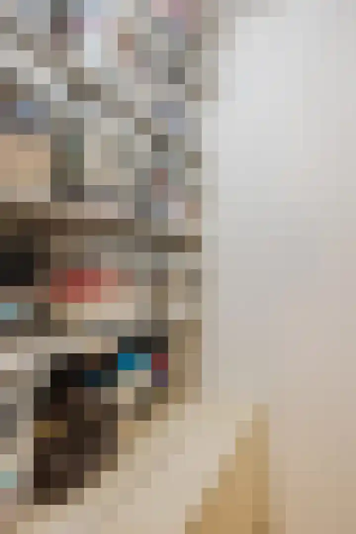 Klaproos 72 Bodegraven thumbnail 32
