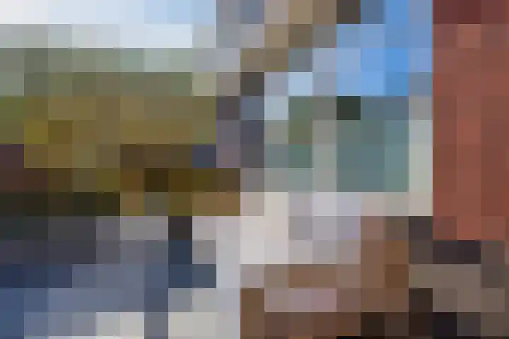 Klaproos 72 Bodegraven thumbnail 34
