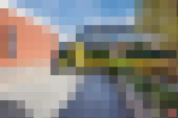 Klaproos 72 Bodegraven thumbnail 35