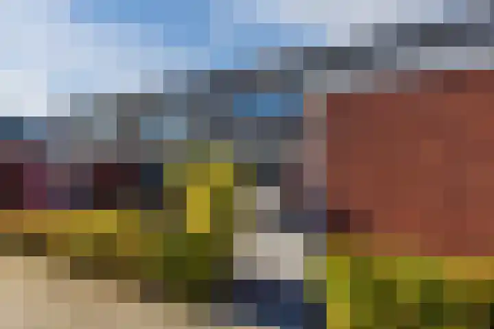 Klaproos 72 Bodegraven thumbnail 37