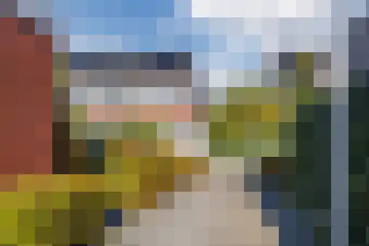 Klaproos 72 Bodegraven thumbnail 38