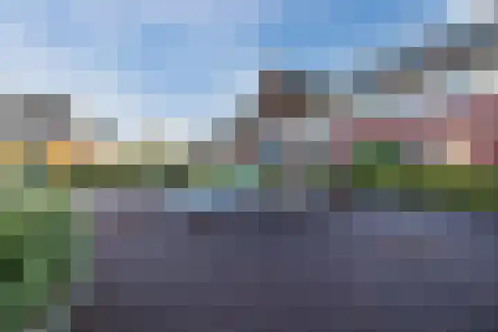Klaproos 72 Bodegraven thumbnail 40