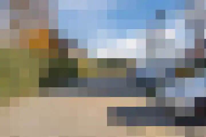 Klaproos 72 Bodegraven thumbnail 41