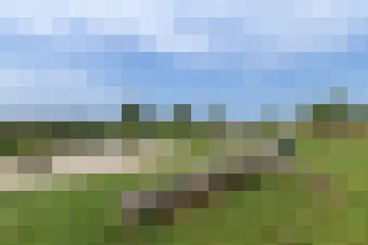 Klaproos 72 Bodegraven thumbnail 42