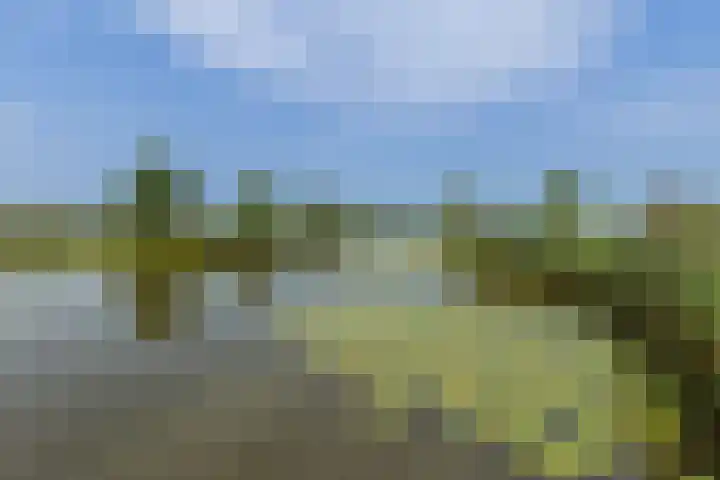 Klaproos 72 Bodegraven thumbnail 45