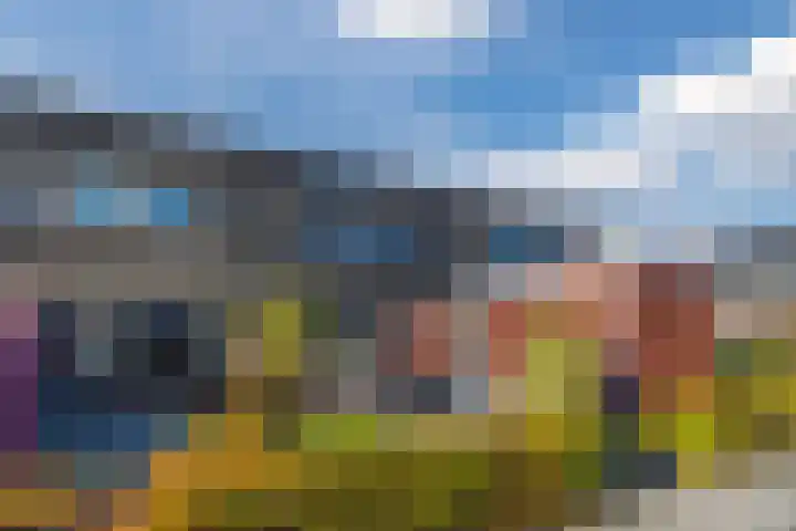 Klaproos 72 Bodegraven thumbnail 6