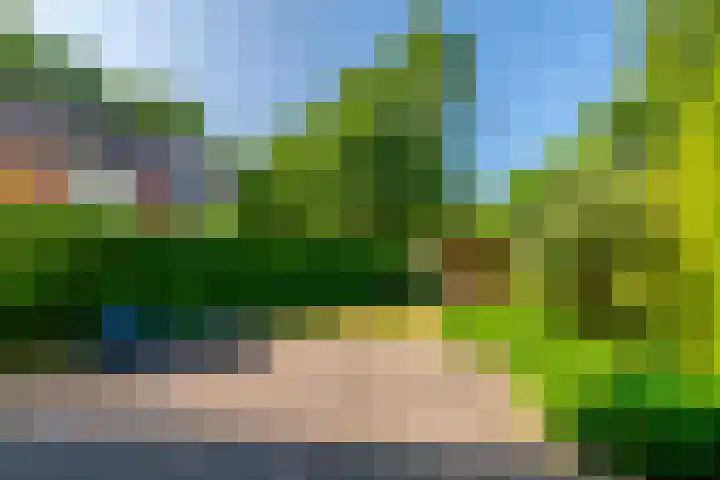 Klaproos 74 Driebergen-Rijsenburg thumbnail 23