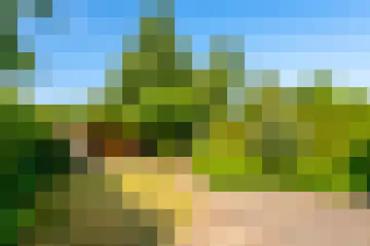 Klaproos 74 Driebergen-Rijsenburg thumbnail 24