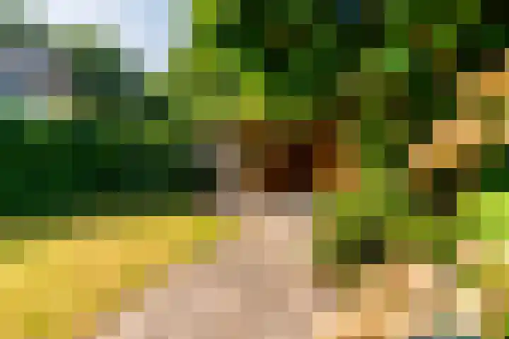 Klaproos 74 Driebergen-Rijsenburg thumbnail 27
