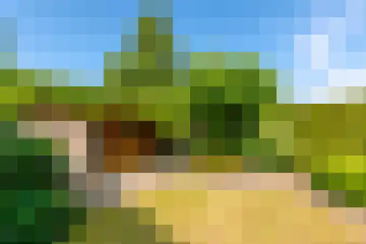 Klaproos 74 Driebergen-Rijsenburg thumbnail 28