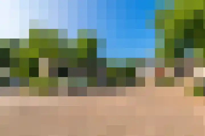 Klaproos 74 Driebergen-Rijsenburg thumbnail 31