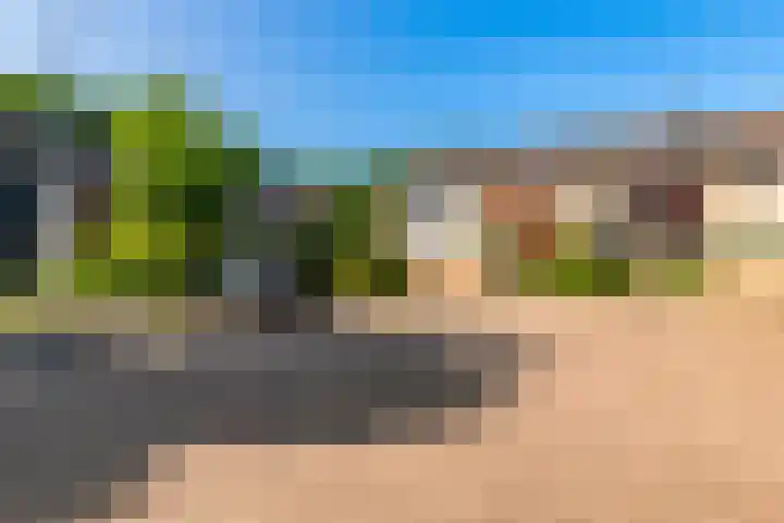 Klaproos 74 Driebergen-Rijsenburg thumbnail 32