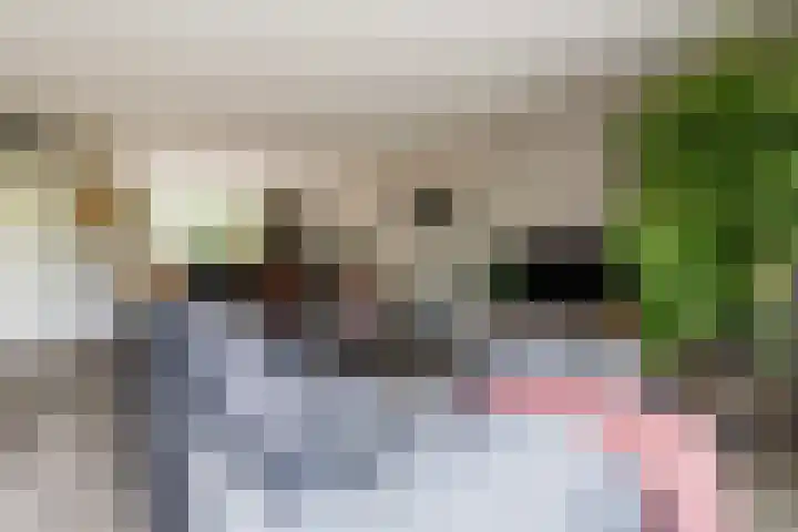 Klaproos 74 Driebergen-Rijsenburg thumbnail 7