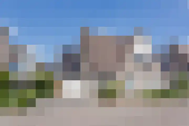 Klaproos 8 dans Best