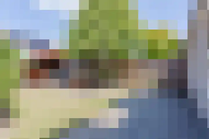 Klaproos 8 Best thumbnail 25