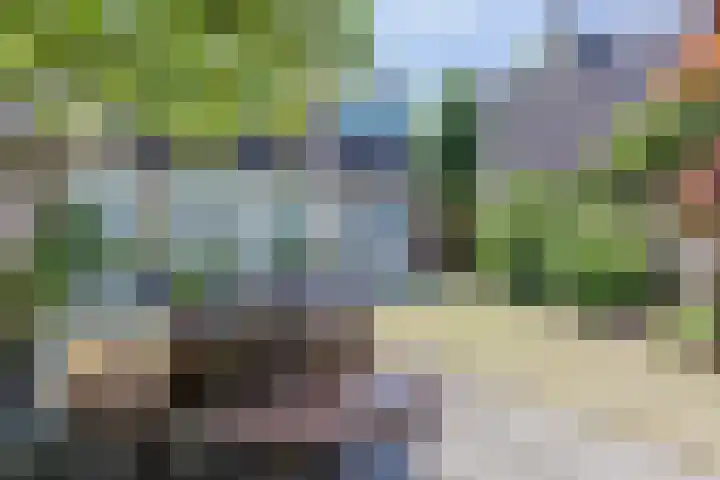 Klaproos 8 Best thumbnail 27