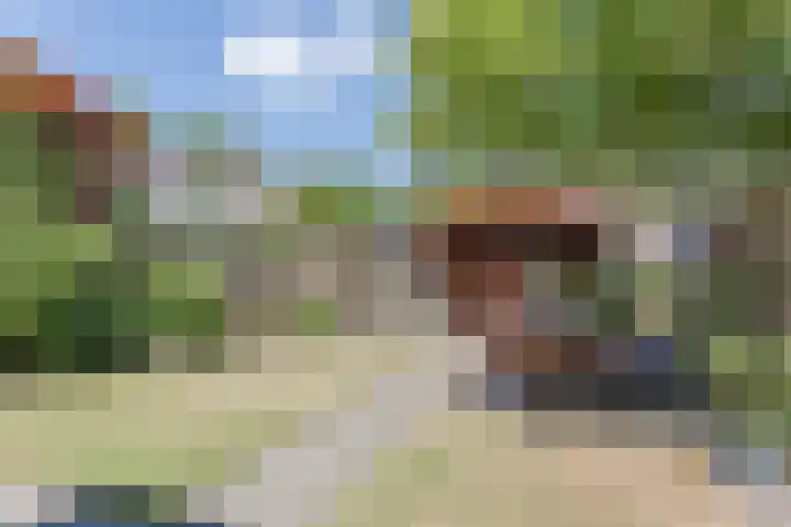 Klaproos 8 Best thumbnail 29