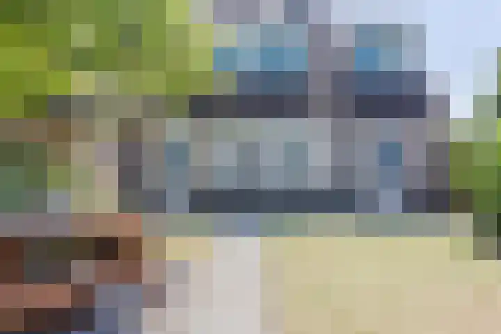 Klaproos 8 Best thumbnail 5