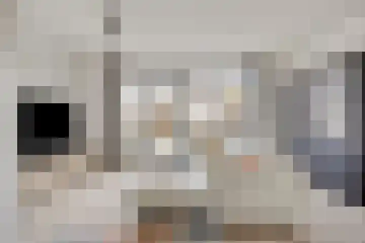 Klaproos 8 Boxmeer thumbnail 10