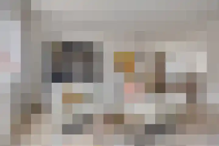 Klaproos 8 Boxmeer thumbnail 11